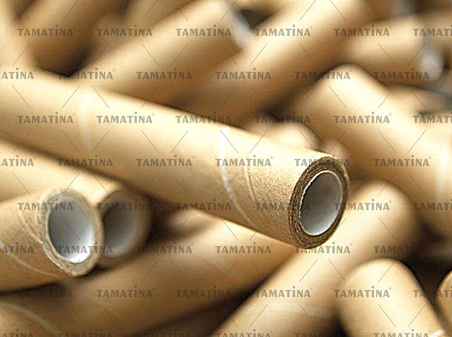 Tamatina Jesus Canvas Paintings - Jesus With His Disciples - Roman Catholic Church Paintings - Religious Canvas Paintings - Jesu